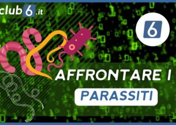 Come affrontare i parassiti