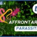 Come affrontare i parassiti