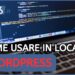 usare wordpress in locale