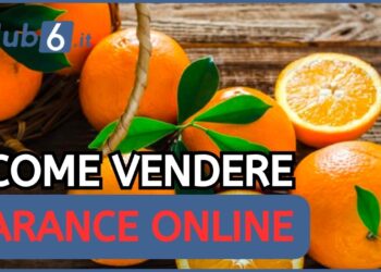 vendere arance online