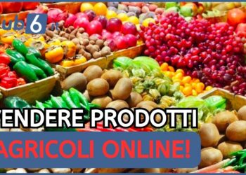 Vendita prodotti agricoli online